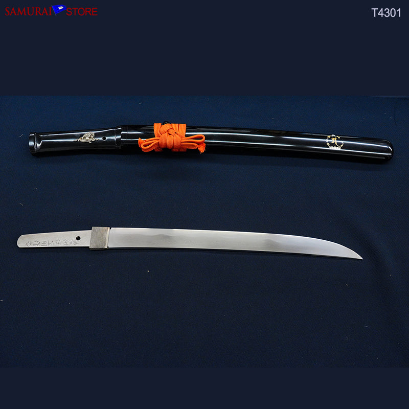 T4301  Wakizashi Sword MASAAKI - Contemporary