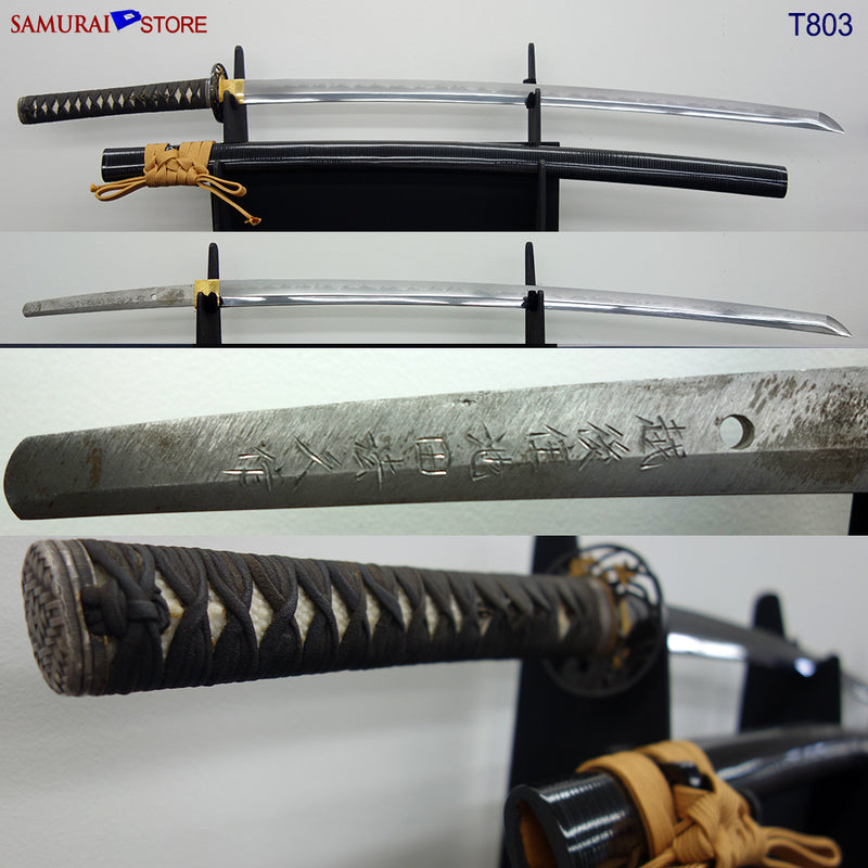 T803 Katana Sword NORIHISA - Contemporary - SAMURAI STORE